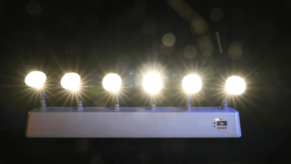 Rasha Professional Launches Upgraded Bullet Bar