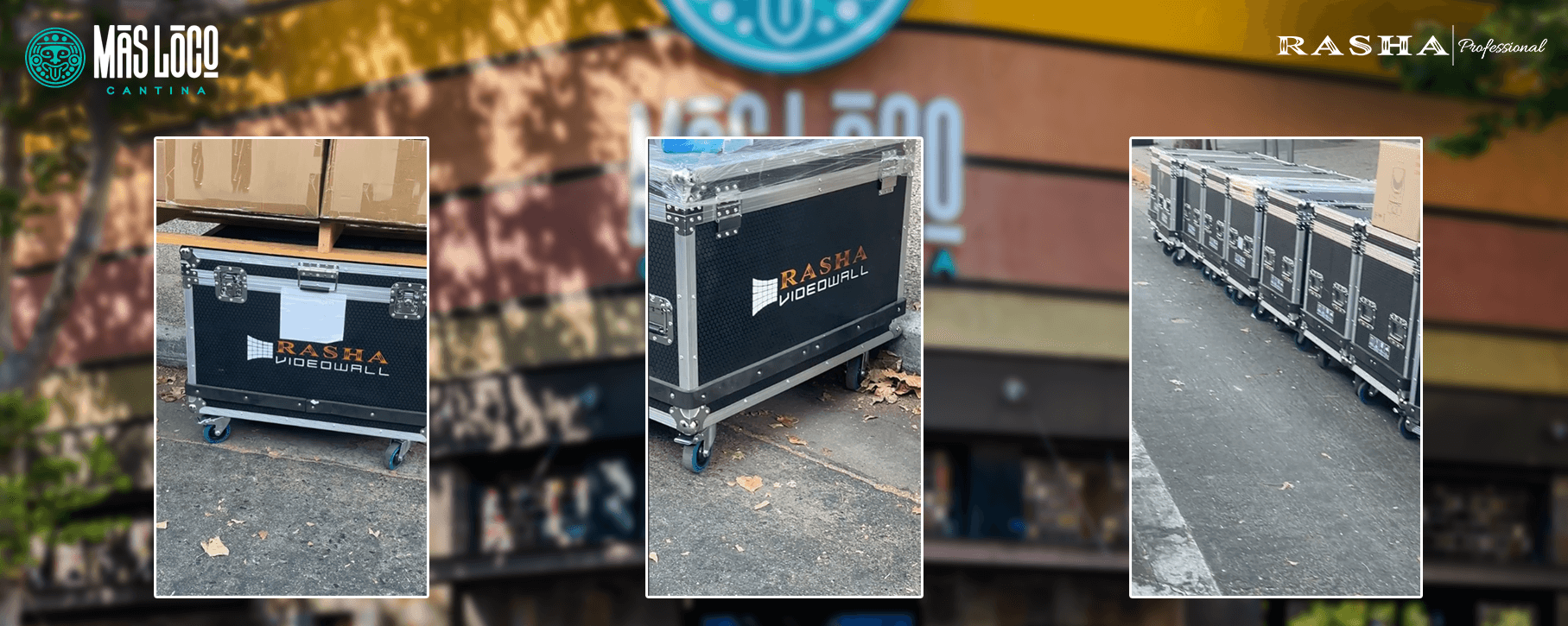 Case Study: Mas Loco Cantina - Rasha Professional