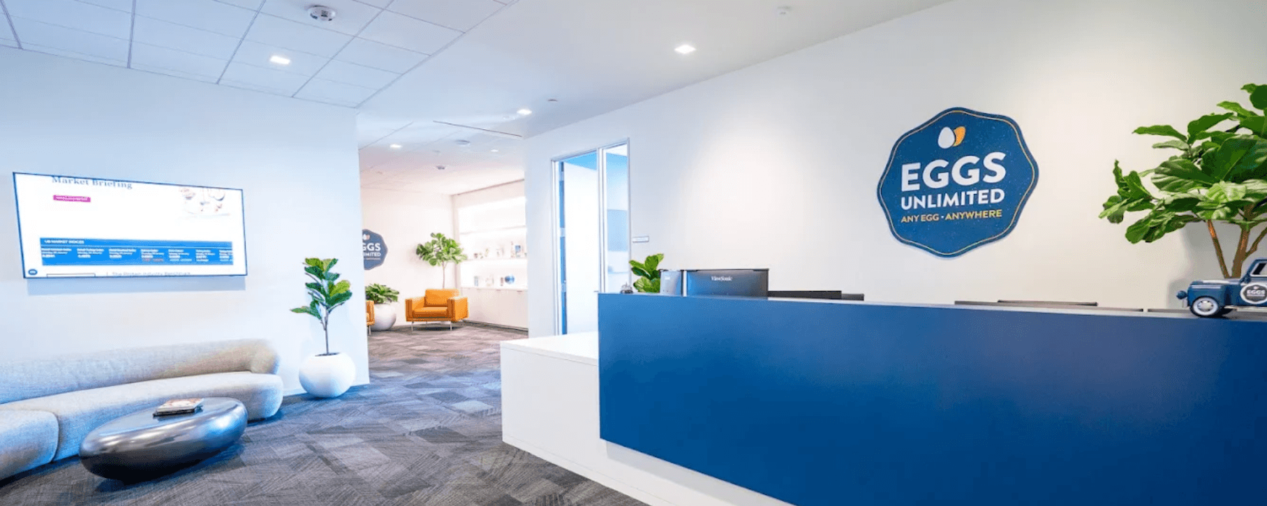 Case Study: Eggs Unlimited - Rasha Professional