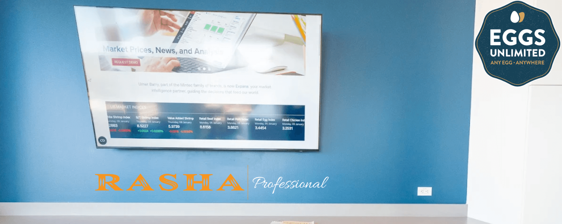Case Study: Eggs Unlimited - Rasha Professional