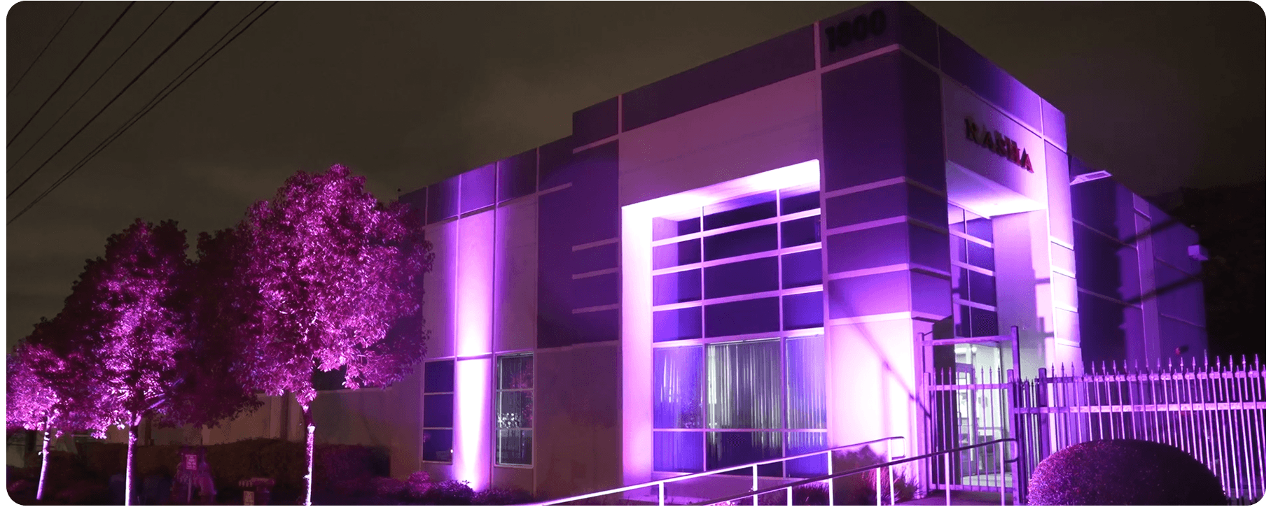 Rodie IP Pro - Battery Operated IP65 Par UV Wash