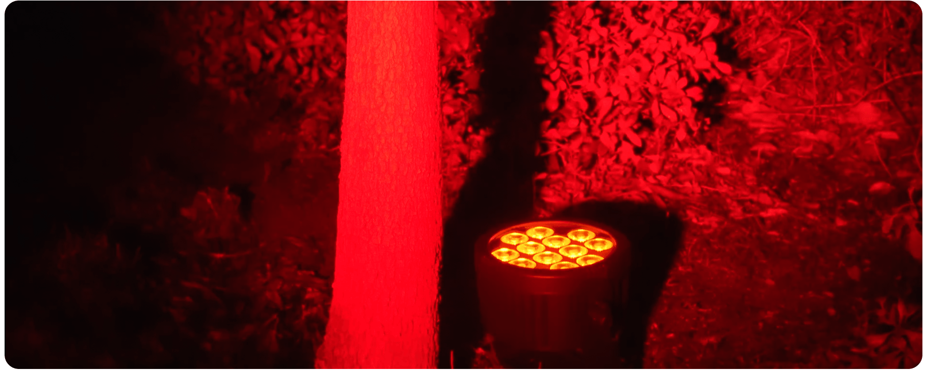 Rodie IP Pro - Battery Operated IP65 Par UV Wash