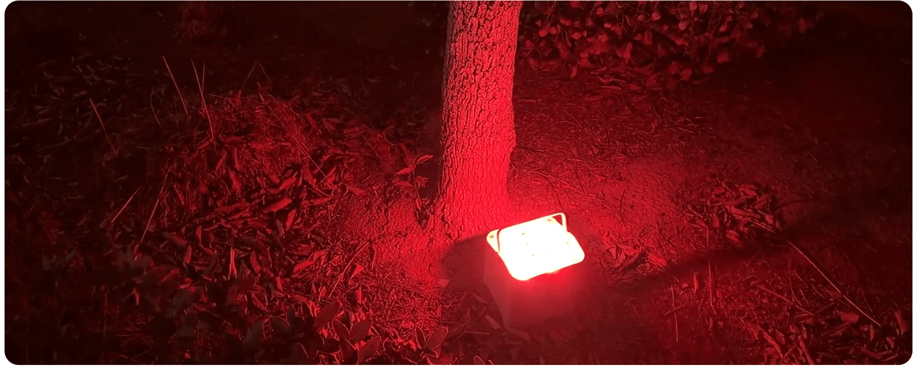 Core IP – IP65 Battery-Powered UV Wash Uplight