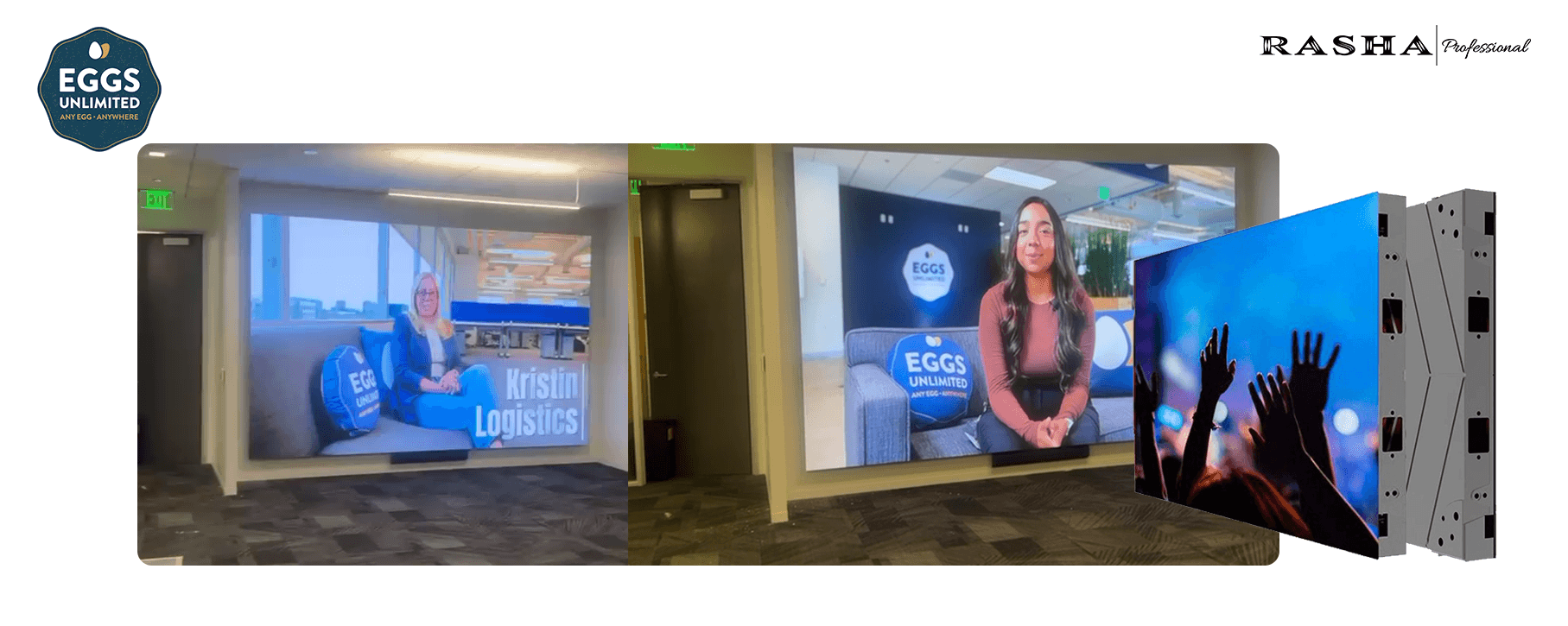 Case Study: Eggs Unlimited - Rasha Professional